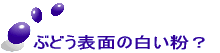 ぶどう表面の白い粉？